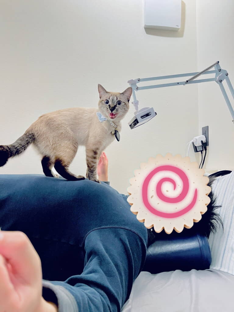 ニャラームのお仕事