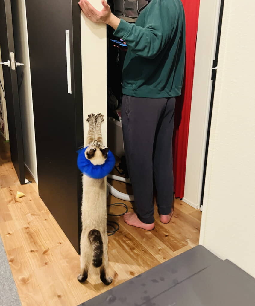 パパと一緒にストレッチ