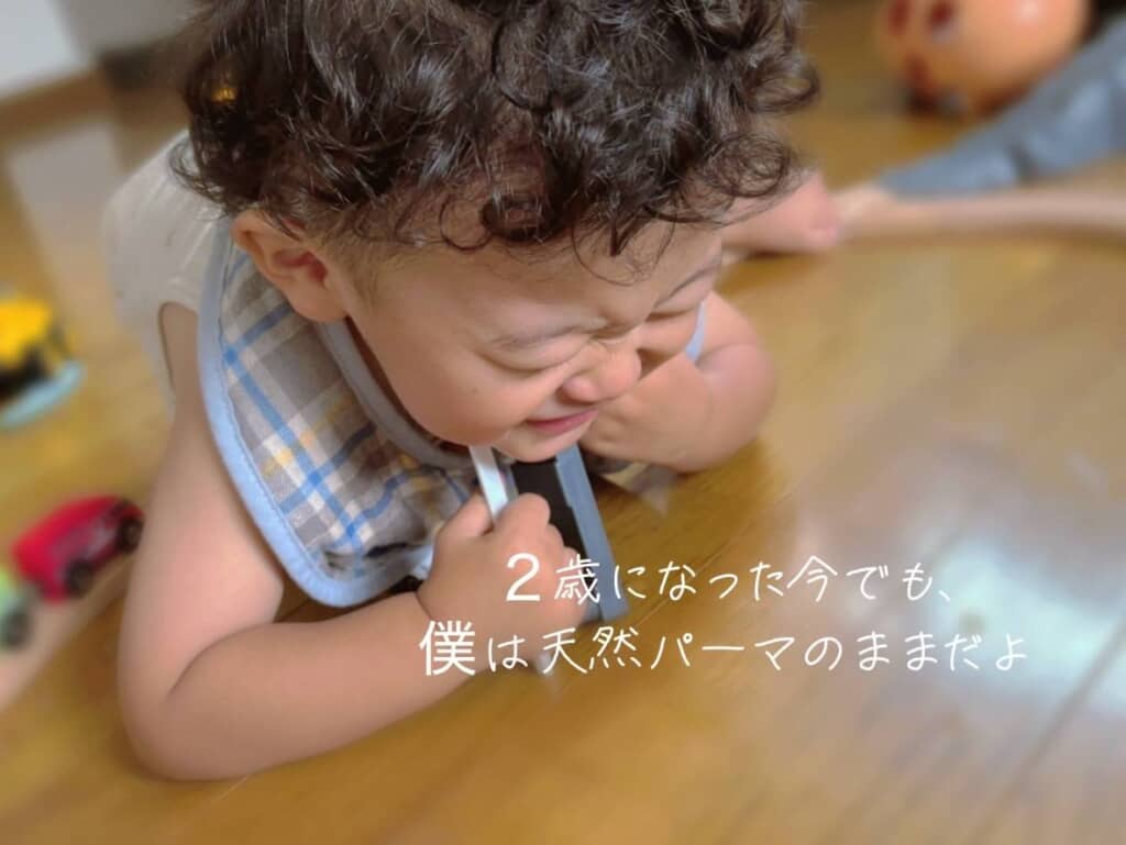 2歳になった現在の姿