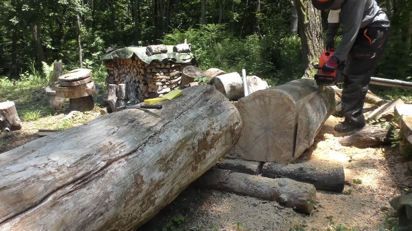 最後の1本をチェンソーでカットする投稿者