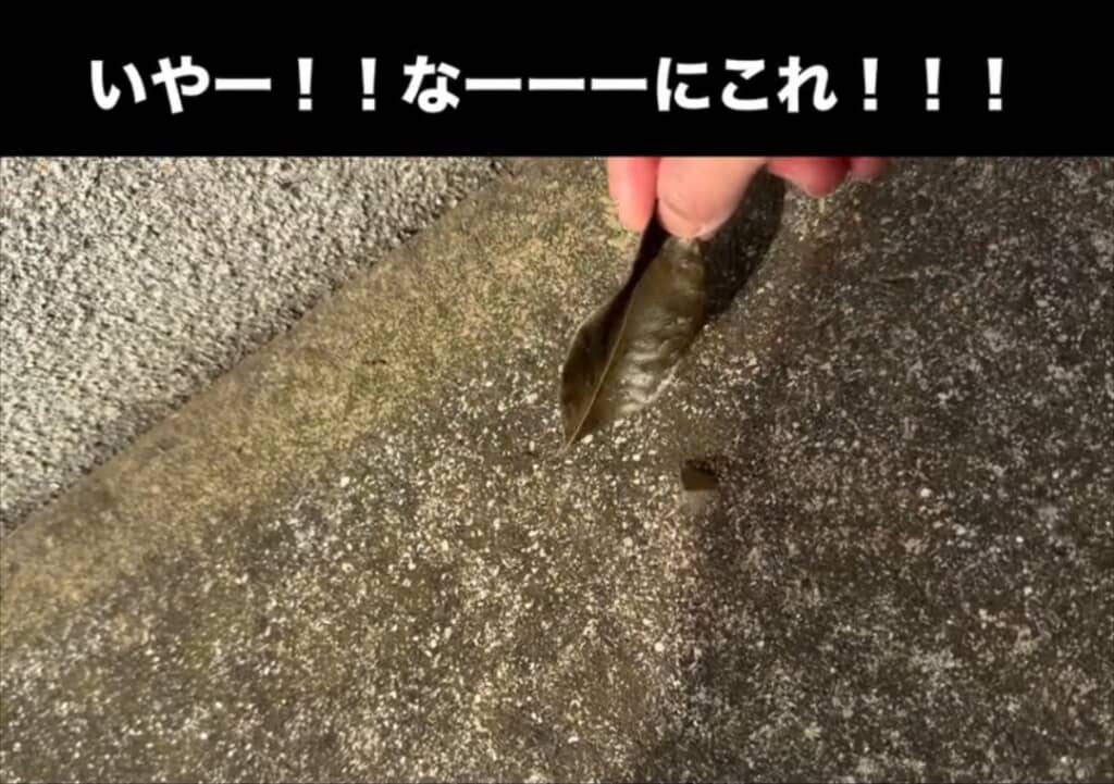 勝手に動いてる！