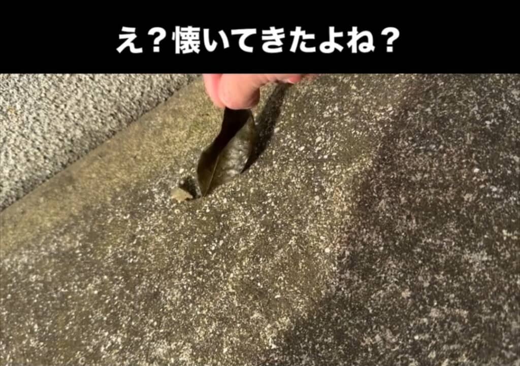 寄ってきた！