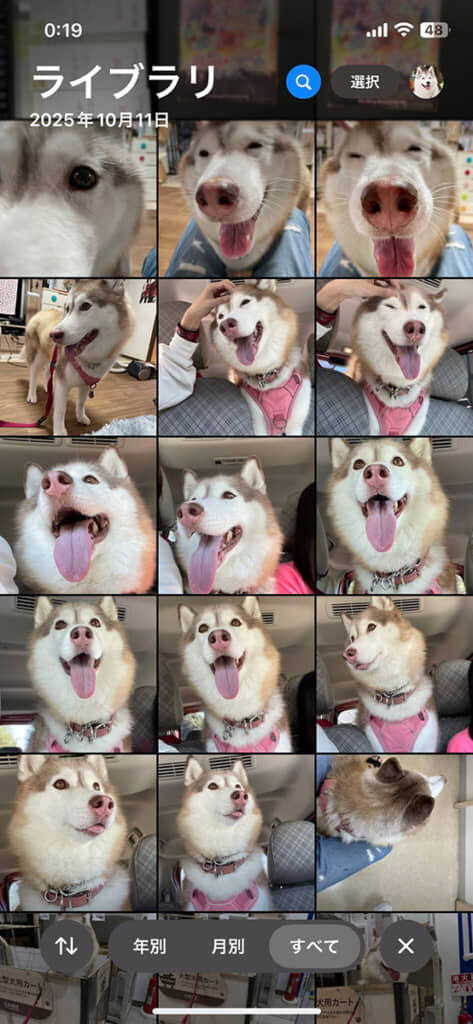 あんなに笑顔だったのに……