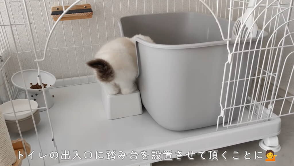 踏み台を上手に使いこなします