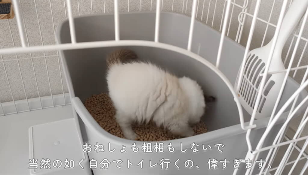 なんてえらい子なの