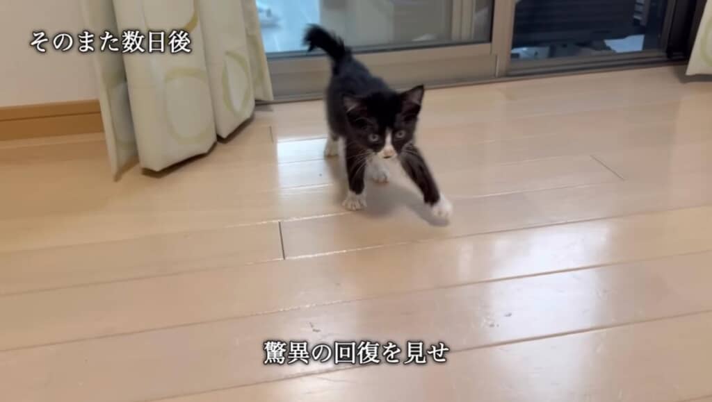 驚異の回復を見せ歩けるように