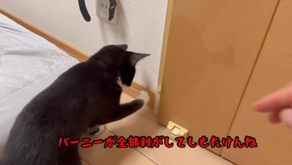 破壊王クロちゃんが爆誕！