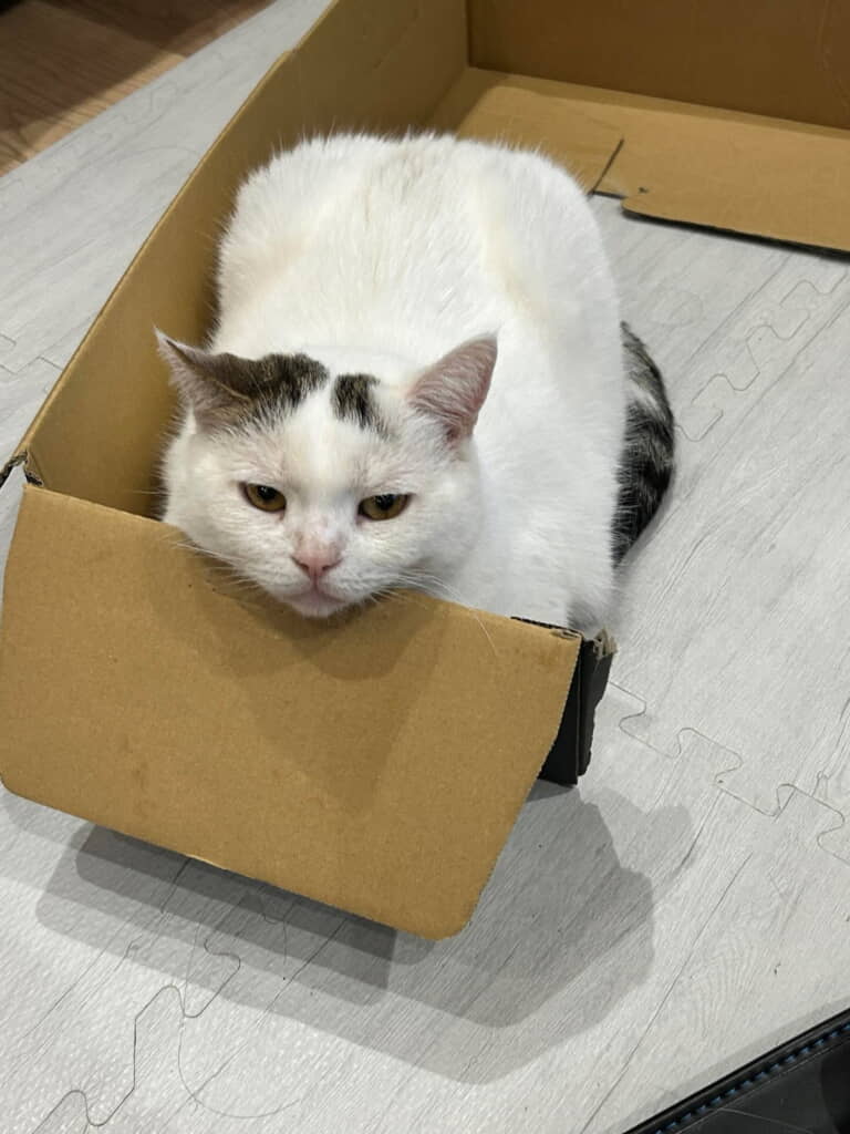 原型保ってませんよ!?