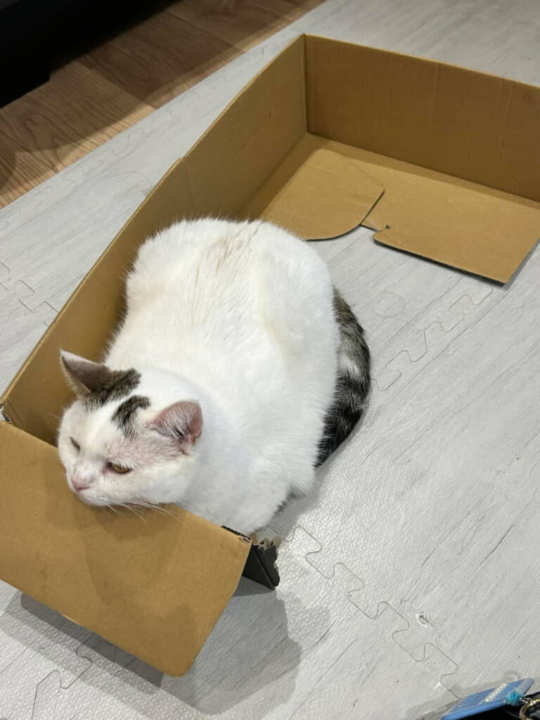 お尻がガラ空きですｗ