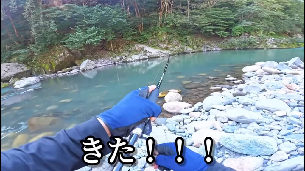 ついに何かがかかりました