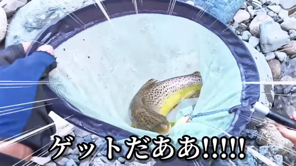 ブラウントラウトをゲットしました！！