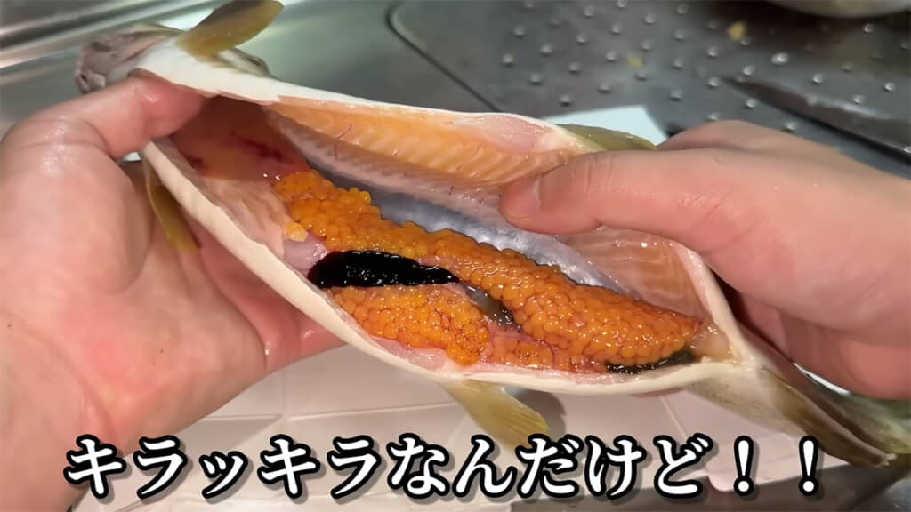 おなかの中にはキラキラ輝く黄金のイクラが