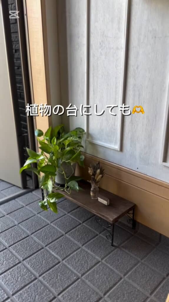 玄関で植物を置いても