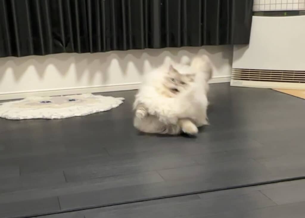 何かに気付いたのでしょうか