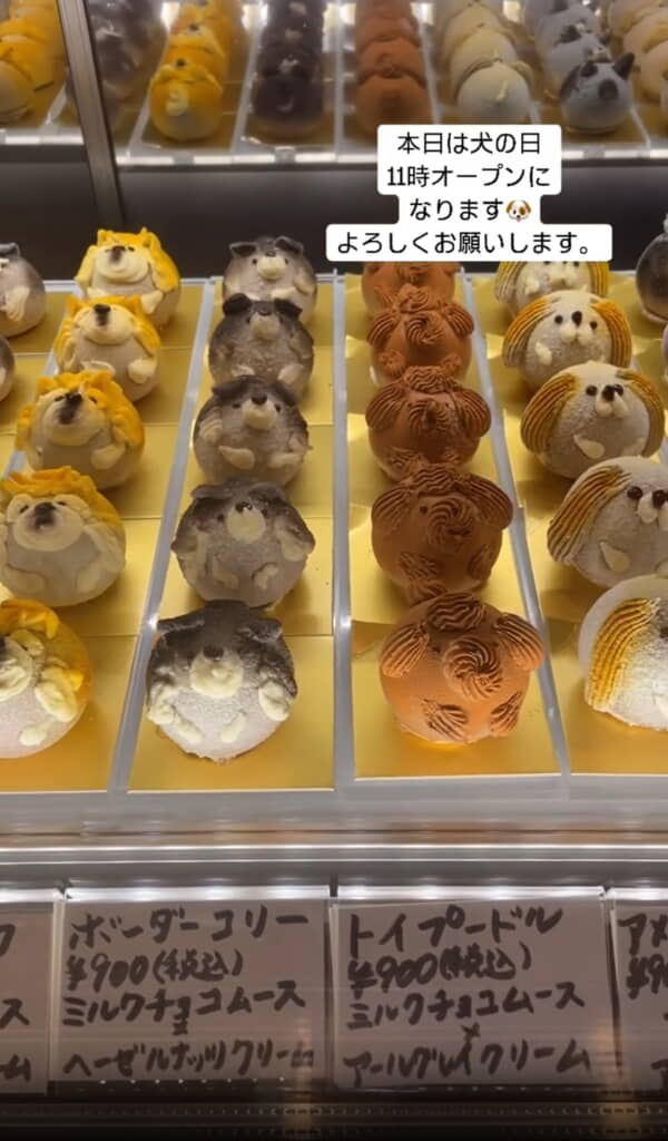 2025年のラインナップも楽しみです！