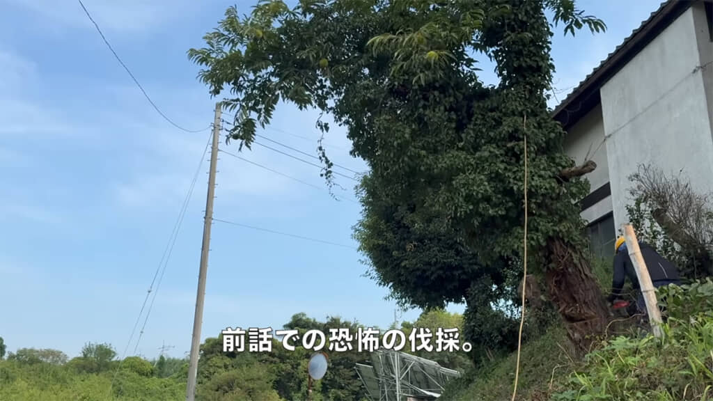 前回伐採した、栗の木の後片付けをします