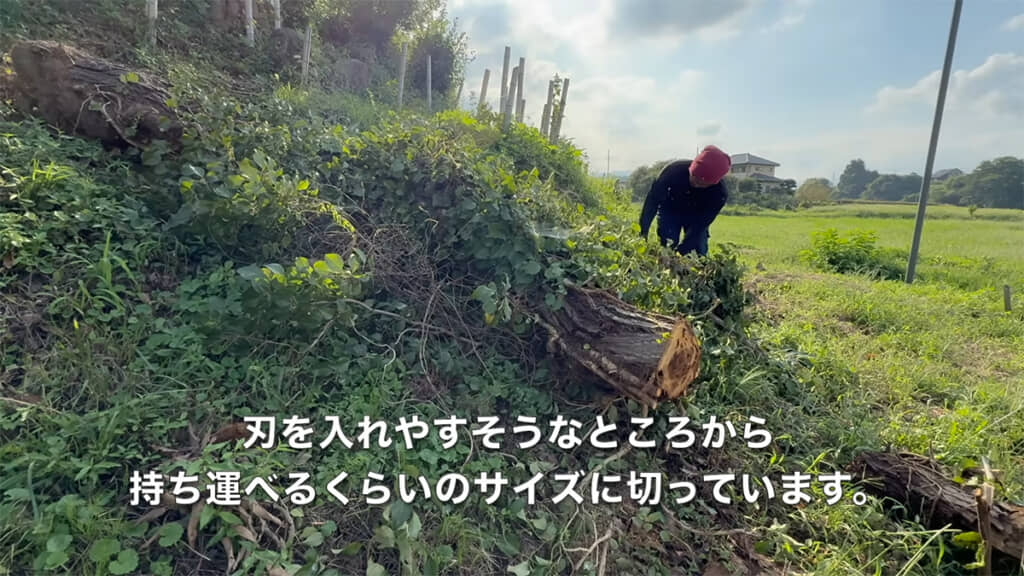 切れそうなところから切っていきます