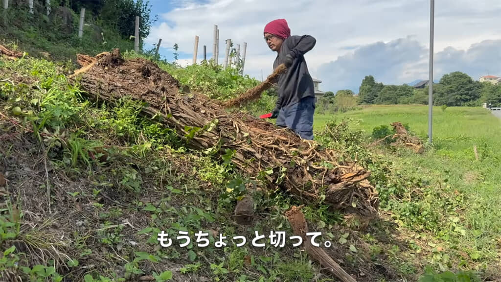 手ではがれる部分を発見