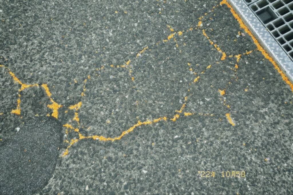 金木犀が金継ぎみたい