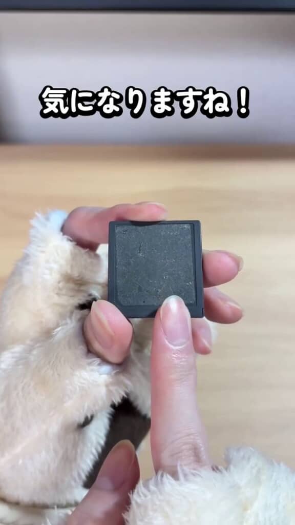 ラベルが剥がれているため中身の分からないDSソフト