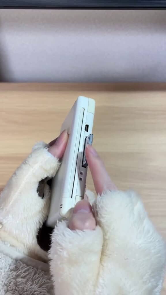 ソフトをニンテンドーDSに差して確かめる