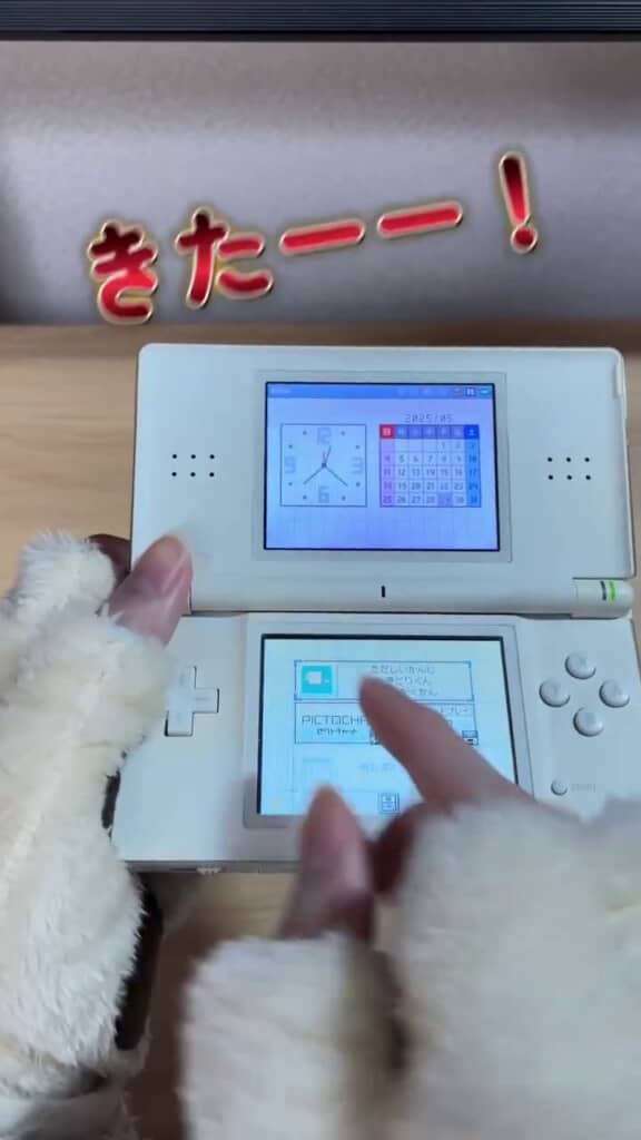 ソフトのタイトルを表示しているニンテンドーDSの画面