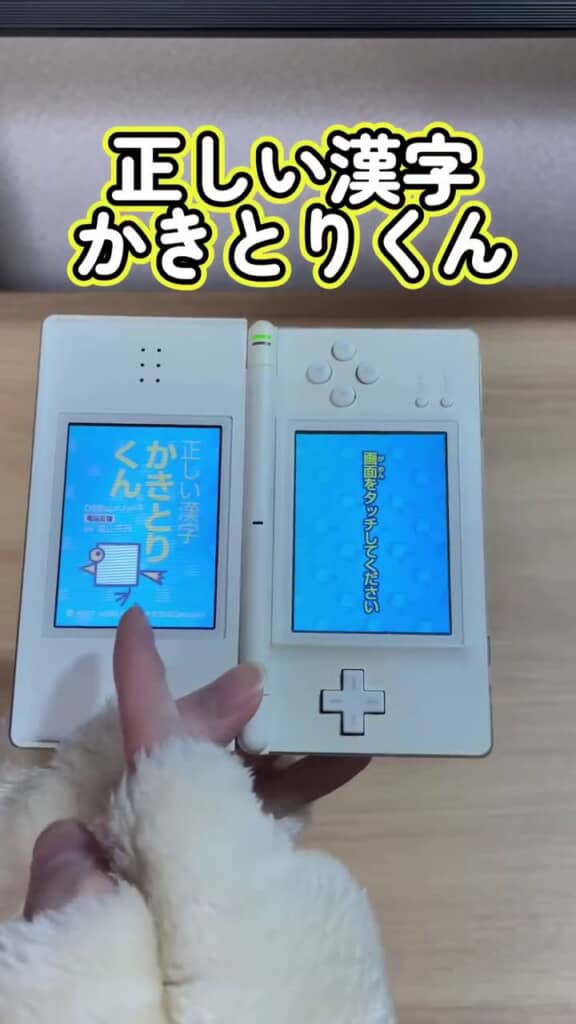 ラベルが剥がれたDSソフトの正体は『DS陰山メソッド 正しい漢字 かきとりくん』