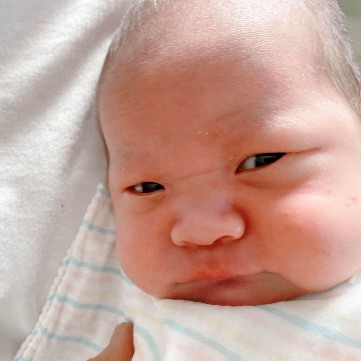 生まれたての赤ちゃん→たった4年で……　母「顔は変わるものですね」　まさかの姿に「これは将来モテますぞ」 | 育児 ねとらぼ