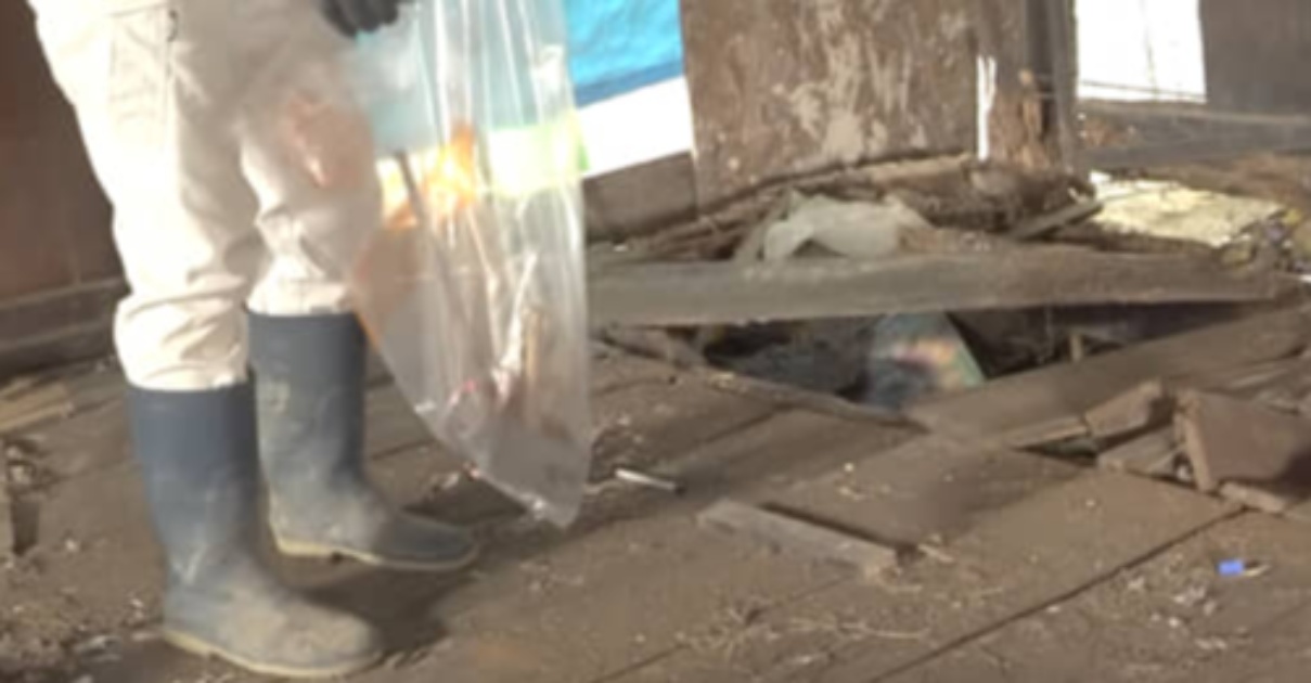 築120年超の古民家、一番汚い部屋を片付けようとしたら……　まさかの出来事に「危険でしたね」「健康と安全を第一に」（1/3） | リフォーム・リノベーション・DIY ねとらぼ