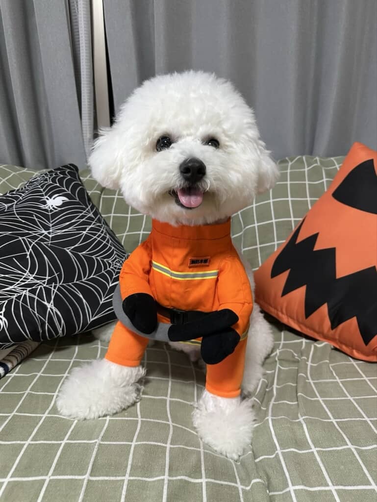 ハロウィンのコスプレで消防士の服を着たもくくん