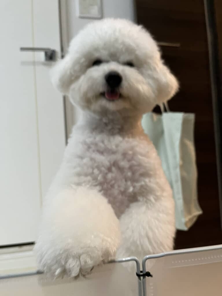 「おい、飯」と言わんばかりの貫禄あるもくくん