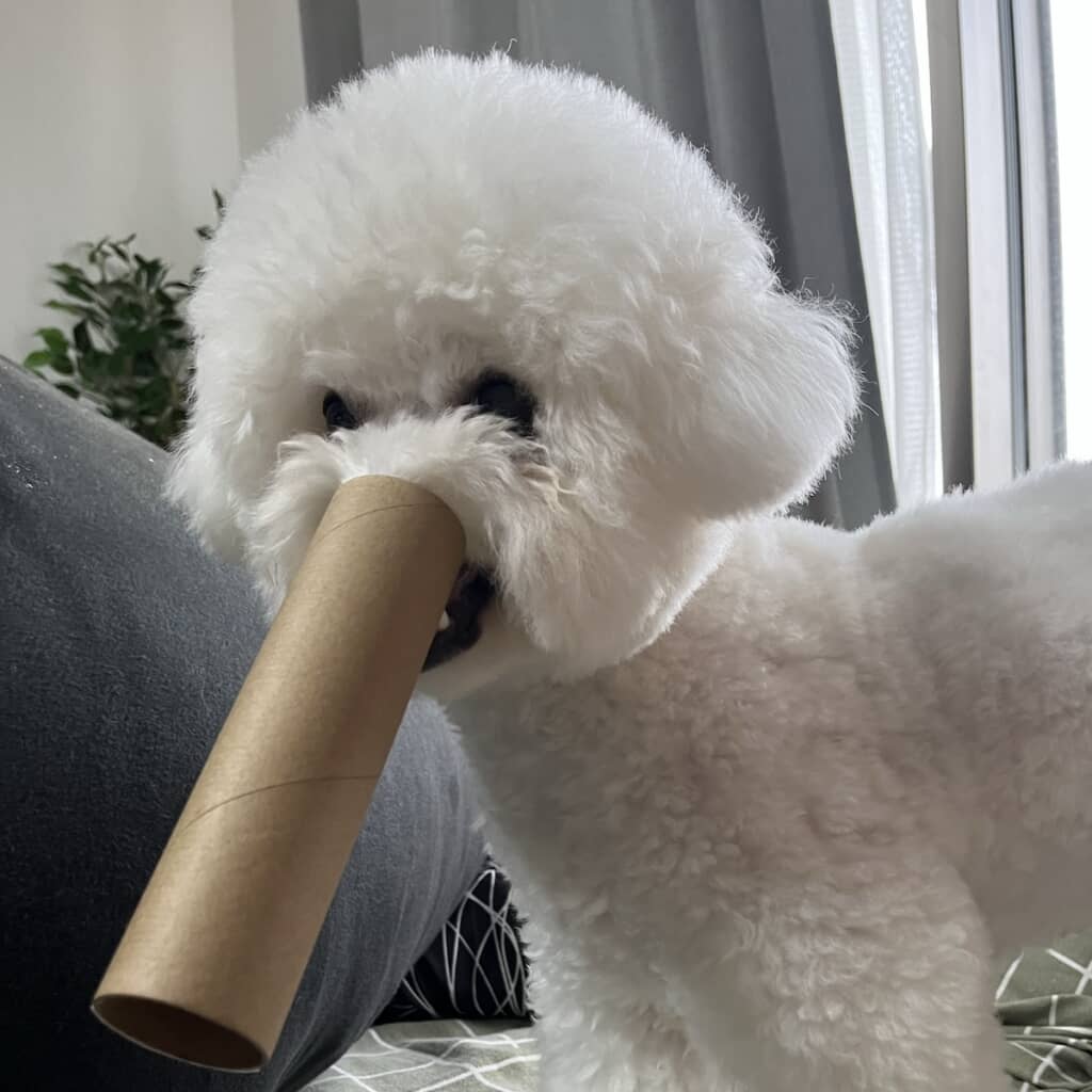 その表情が意味するところは……？