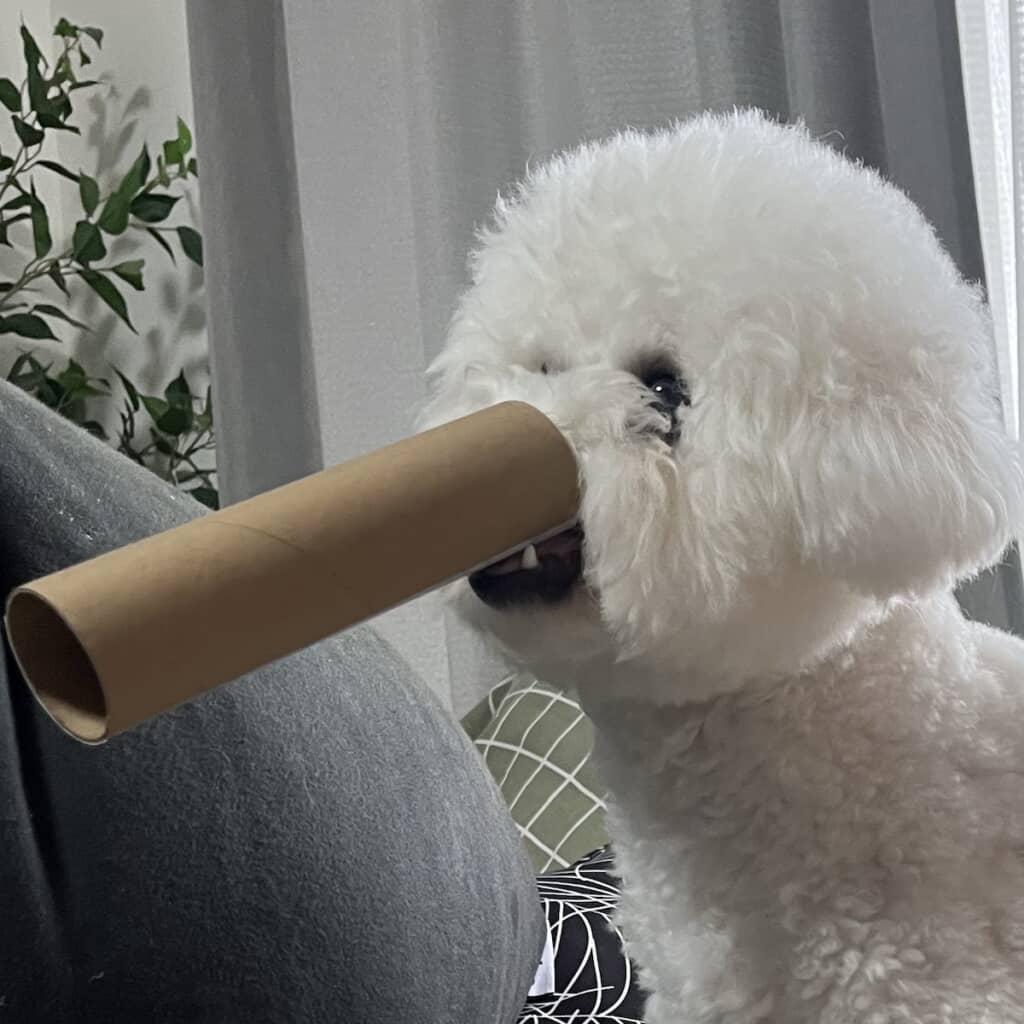 横から見るとしゃくれています