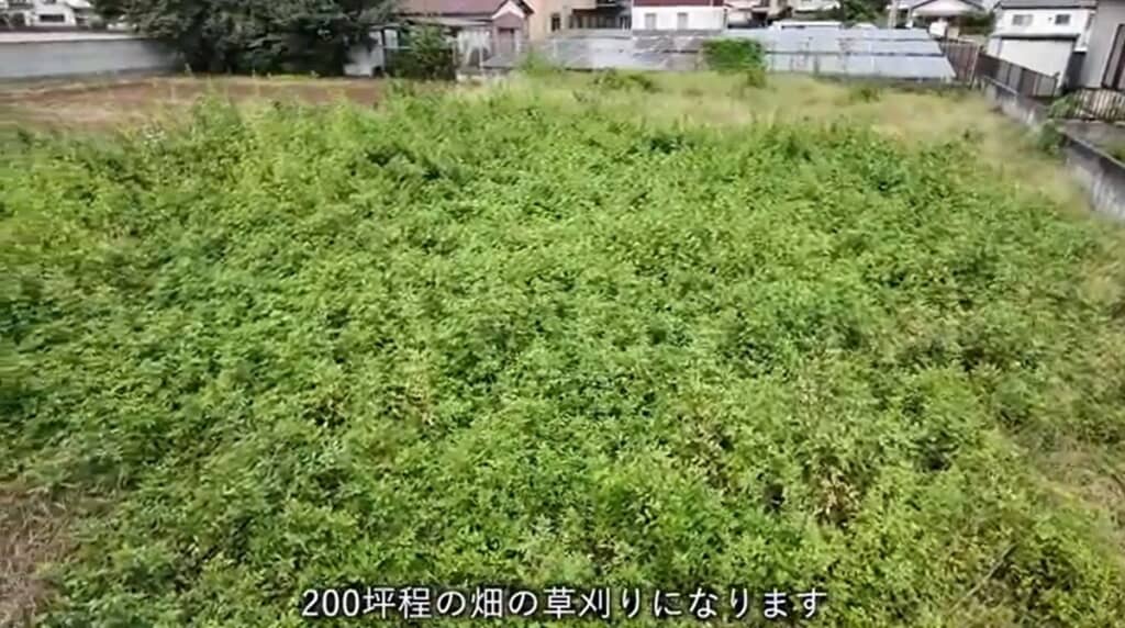 200坪程の畑の草刈りをします