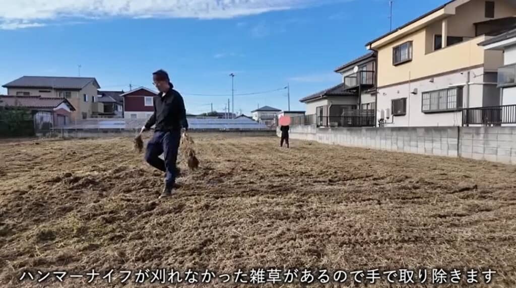 ハンマーナイフで刈れなかった雑草は手で取り除きます