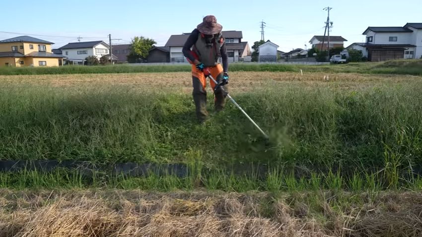 音と力のバランスが取れているダイソーの青いナイロンコード