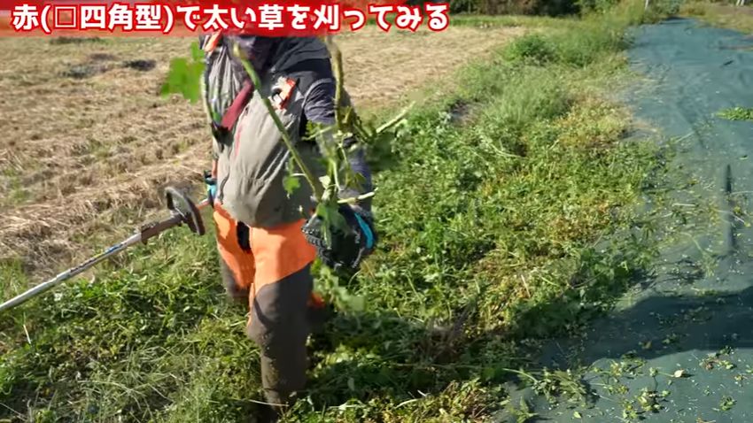 赤いコードで刈り取った太めの草