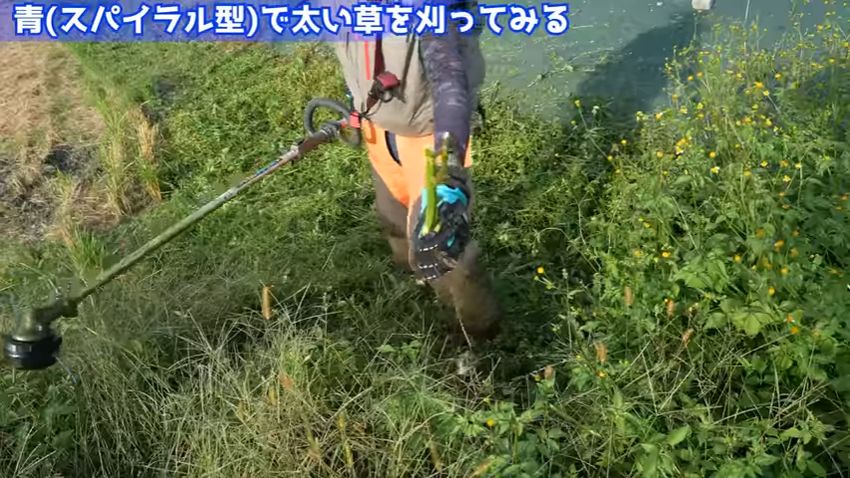 青いコードで刈り取った太めの草