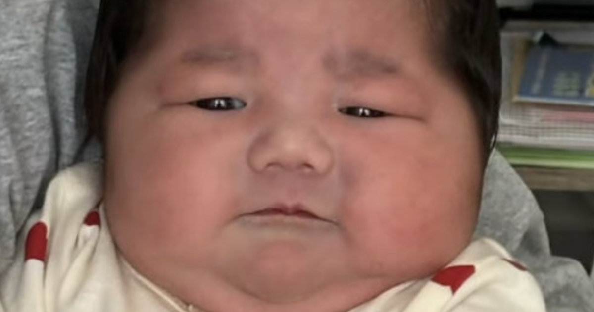 産まれてすぐは「どすこいだったうちの子」→2カ月後……「想像以上w」　“現在の姿”に反響「卒業おめでとう」「可愛すぎるってww」（1/3） | 育児 ねとらぼ