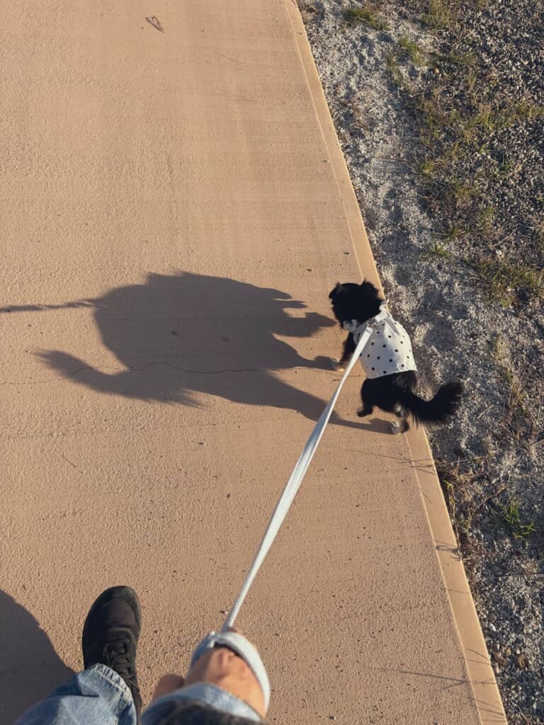 かわいい姿に反して、影は凶暴!?