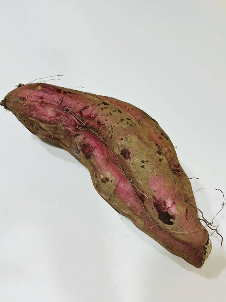 スーパーでは見かけないような大物をゲット