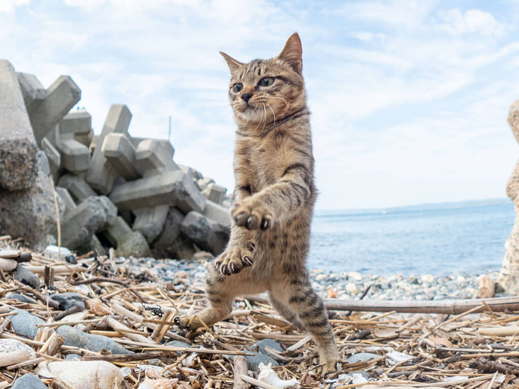 なんて良い写真