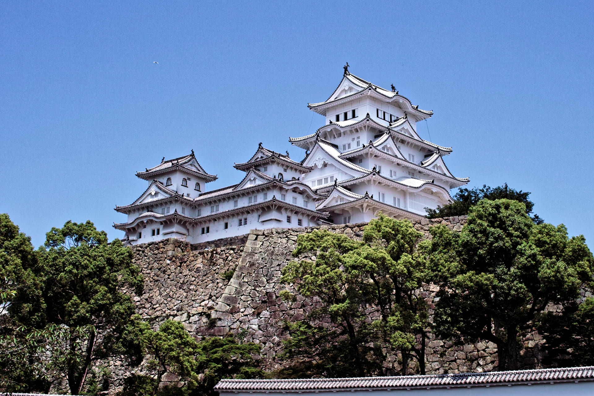 お城と白馬 松浦敬文 「 水辺の城 」 油絵 ・ 油彩画 F6 ( 6号 ) 絵画 洋画 肉筆