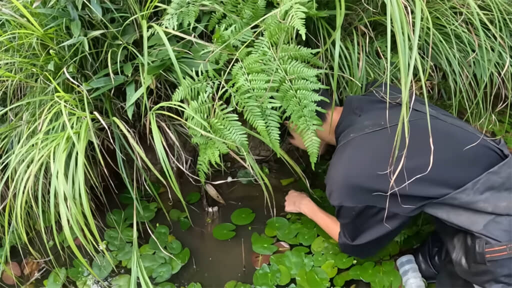 池の縁にもたくさんの生き物がいました