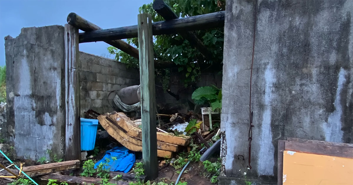 粗大ゴミ置き場だった廃屋→57歳女性がリノベしたら……　「こんなにすてきになるなんて」「センスの塊」「天才だわ！」（1/3） | リフォーム・リノベーション・DIY ねとらぼ