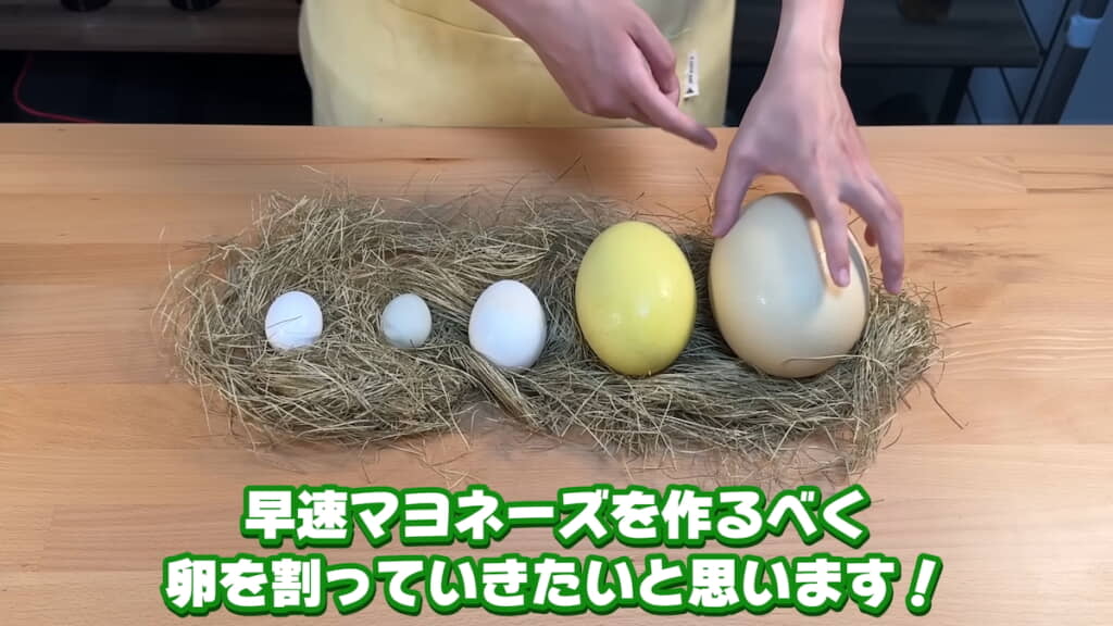 左から鶏卵、アヒルの卵、ガチョウの卵、レアの卵、ダチョウの卵