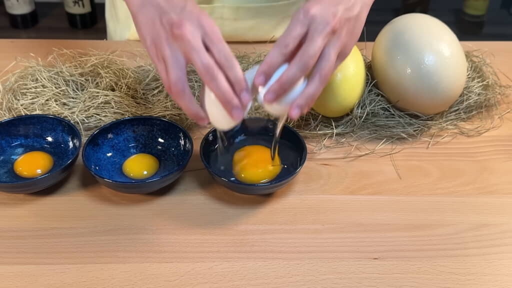 ガチョウの卵は明らかに黄身が大きい