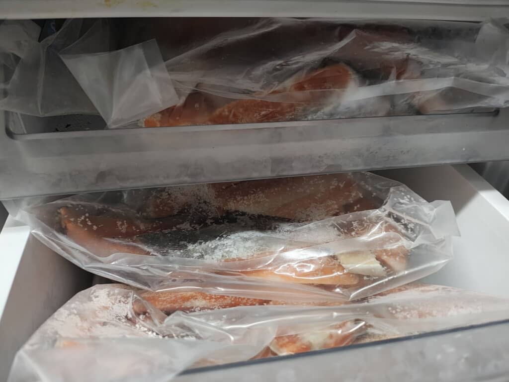 冷凍鮭がたくさん入った、もっちりしたパンさん家の冷凍庫