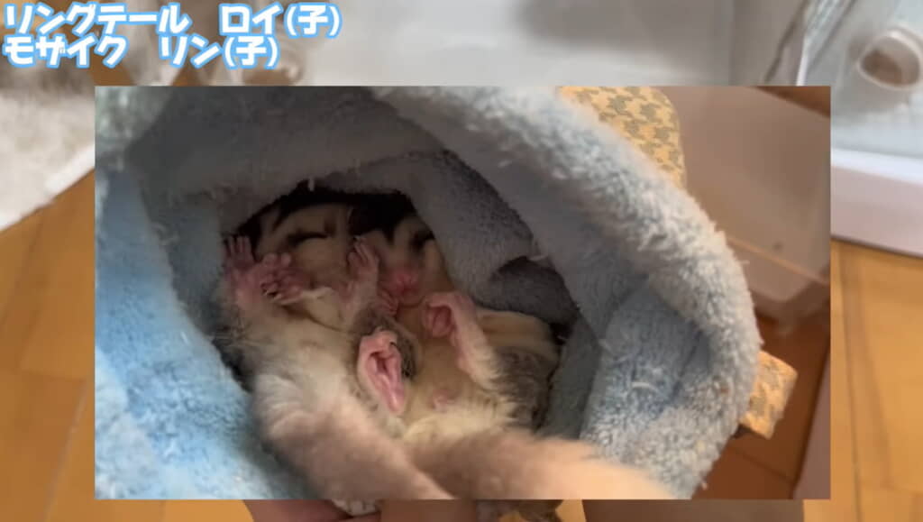 ぴったりくっついてます