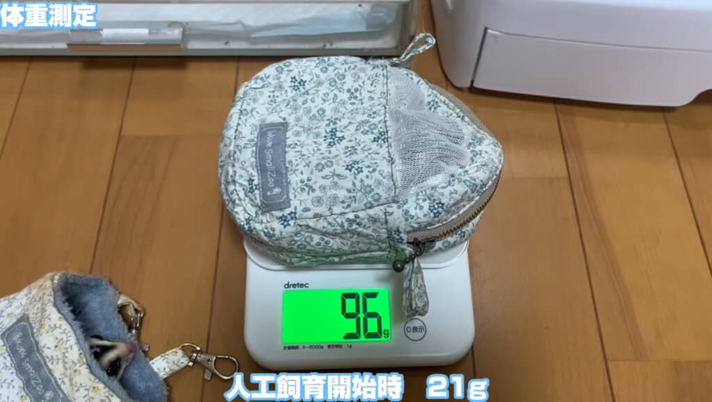 ロイくんは75グラム増えて